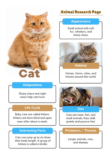 Cat Animal Research Project | Science Worksheets for Kids | Teaching ...