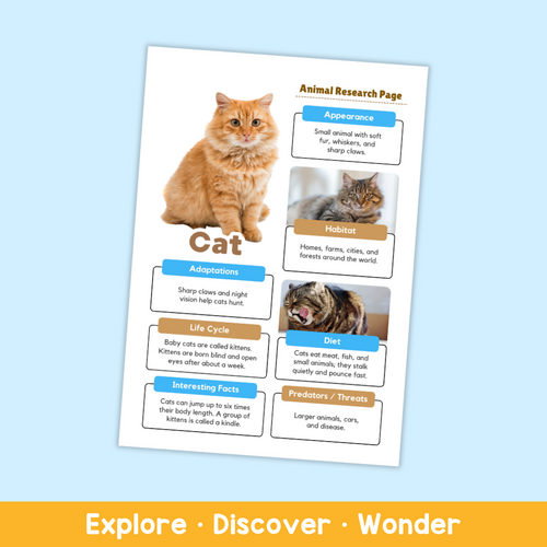 Cat Animal Research Project | Science Worksheets for Kids | Teaching ...