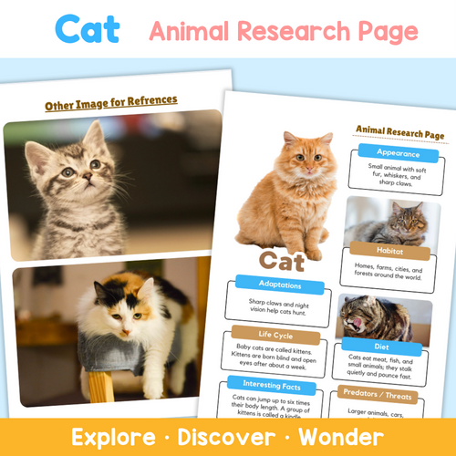 Cat Animal Research Project | Science Worksheets for Kids | Teaching ...