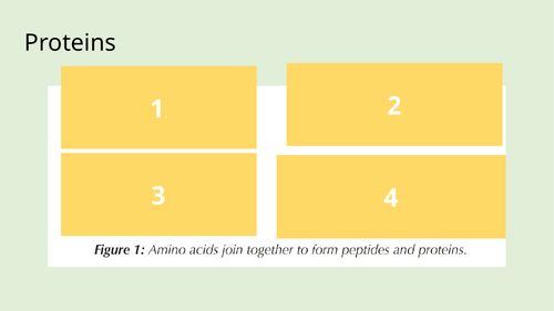 Biological Molecules Proteins AS level (OCR) | Teaching Resources