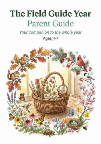 October Nature Curriculum - Harvest and Pumpkins EYFS | Teaching Resources