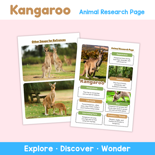 Kangaroo Animal Research Project | Science Worksheets for Kids ...