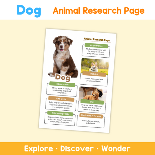Dog Animal Research Project | Science Worksheets for Kids | Teaching ...