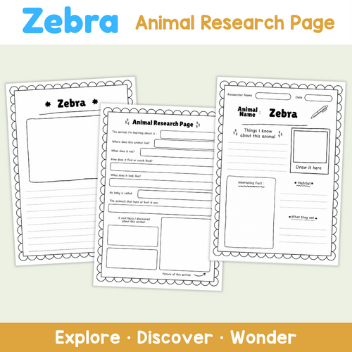 Zebra Research Worksheets | Animal Science Activity | Teaching Resources