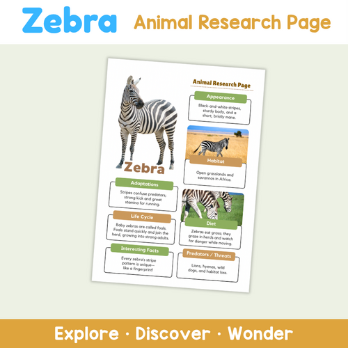 Zebra Research Worksheets | Animal Science Activity | Teaching Resources