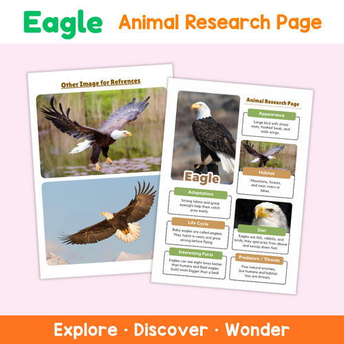 Eagle Animal Research Page | Printable Science Worksheets | Teaching ...