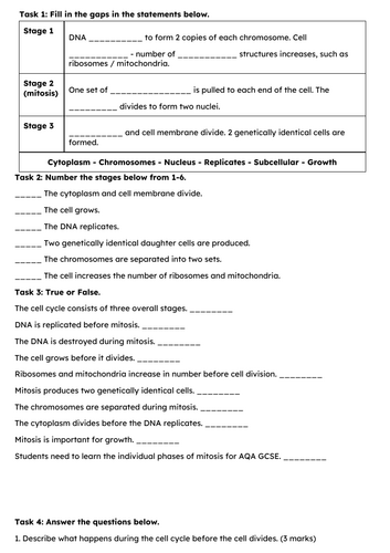 docx, 79.36 KB