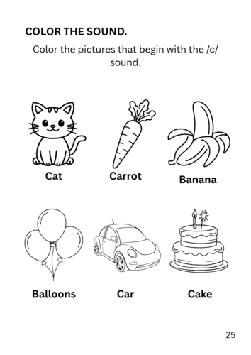 Beginning Sounds & Initial Phonics Activity Book | EYFS / Pre-K ...
