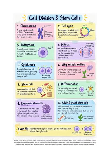 Cell Division & Stem Cells Revision Sticky Notes | GCSE Biology PDF ...