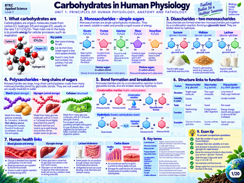 BTEC Level 3 AAQ Medical Science Unit 1 | Human Physiology, Anatomy ...