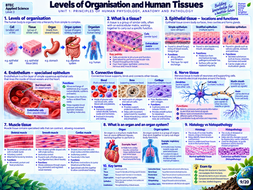 BTEC Level 3 AAQ Medical Science Unit 1 | Human Physiology, Anatomy ...