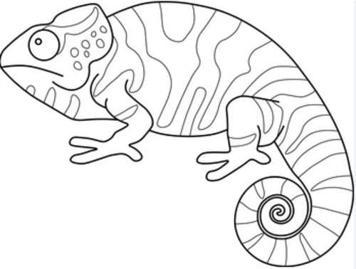 png, 61.52 KB