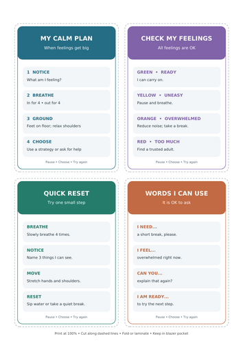 Emotional Regulation Cards | Teaching Resources