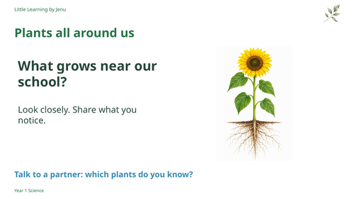 Year 1 Plants Science | Worksheets, Display Posters & PowerPoint | KS1 ...