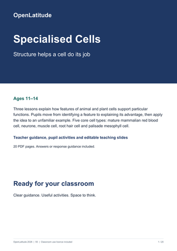 Specialised Cells | KS3 Structure and Function Lessons and Worksheets ...