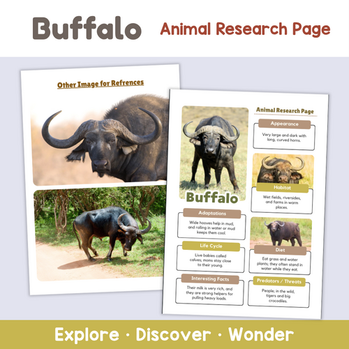 Buffalo Animal Research Page | African Wildlife Science Worksheets ...