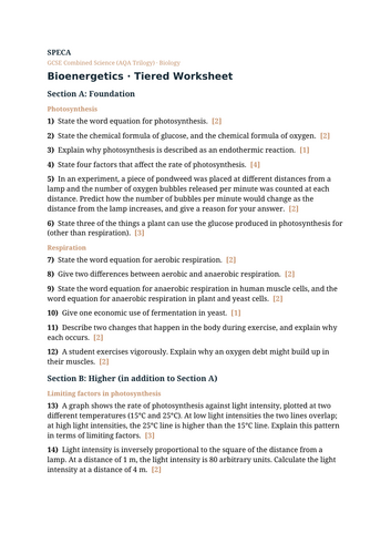 docx, 9.8 KB