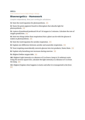 docx, 9.6 KB