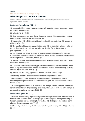 docx, 9.98 KB