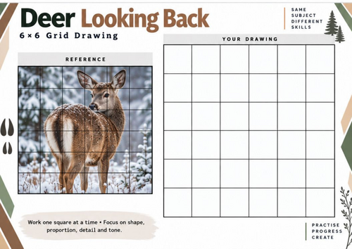 Deer Looking Back Grid Drawing Worksheet | Wildlife Art Activity | KS3 ...