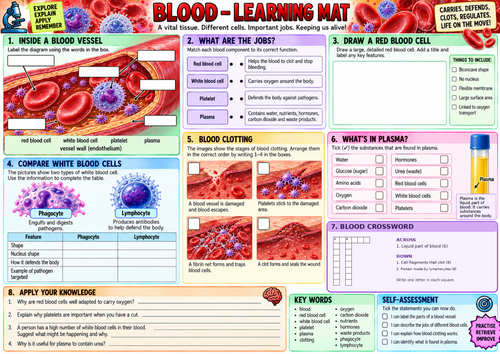 GCSE Biology Blood – Knowledge Organiser, Work Mat, 30 Retrieval ...