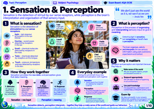 AQA GCSE Psychology | Perception, Depth Cues & Visual Illusions | 20 Revision Visuals