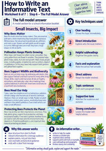 INFORMATIVE TEXT PACK 3 | Teaching Resources