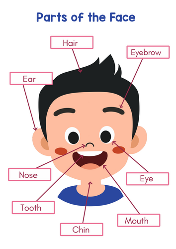Parts of the Face Worksheets | Cut and Paste Face Activity EYFS ...