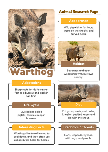 Warthog Worksheets | African Wildlife and Mammal Research | Teaching ...