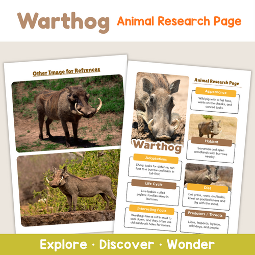 Warthog Worksheets | African Wildlife and Mammal Research | Teaching ...