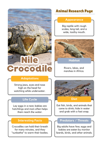 Nile Crocodile Worksheets | Animal Adaptations Research Project ...