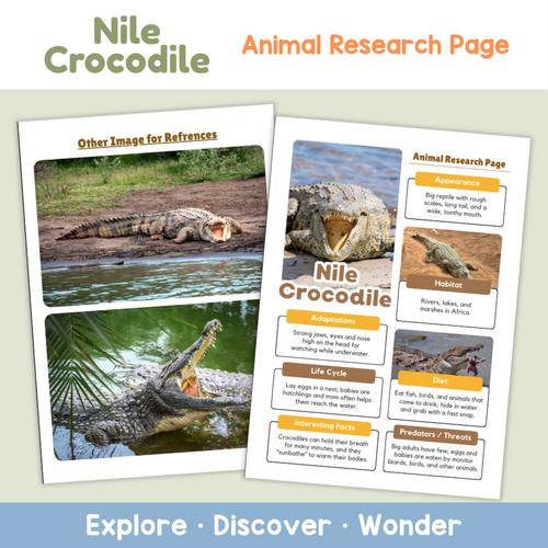 Nile Crocodile Worksheets | Animal Adaptations Research Project ...