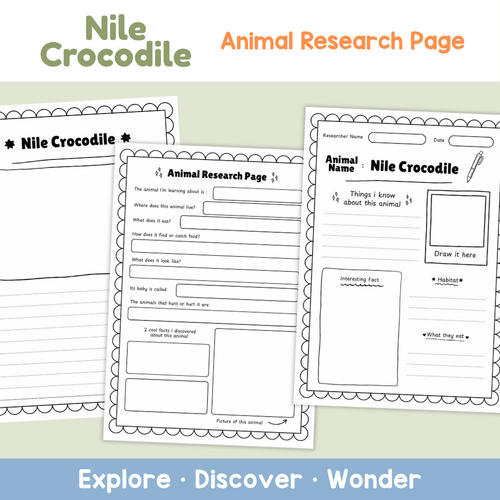 Nile Crocodile Worksheets | Animal Adaptations Research Project ...