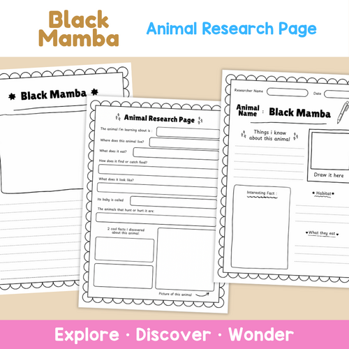 Black Mamba Fact File | African Snakes and Reptile Habitats | Teaching ...