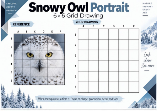 Snowy Owl Portrait Grid Drawing Worksheet | Bird Drawing Art Activity ...