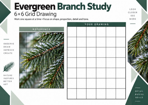 Evergreen Branch Study Grid Drawing Worksheet | Botanical Drawing | KS3 ...