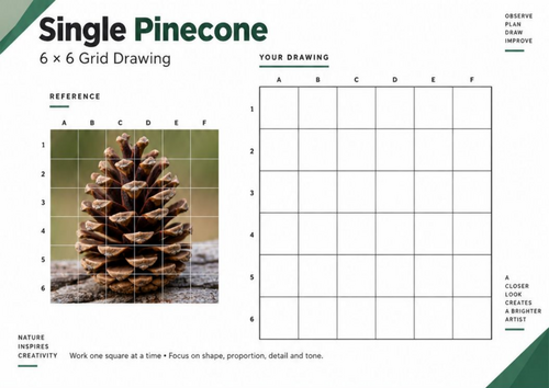 Pinecones Grid Drawing Worksheets | 20 Nature & Woodland Art Activities ...