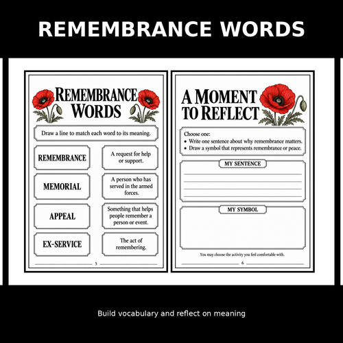 Remembrance Day: The Poppy’s Story | Primary Reading Comprehension ...