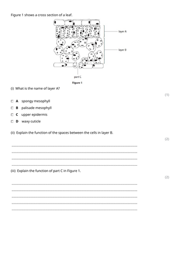 docx, 133.1 KB
