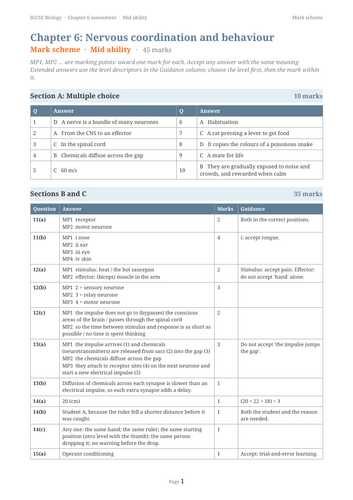 docx, 14.64 KB