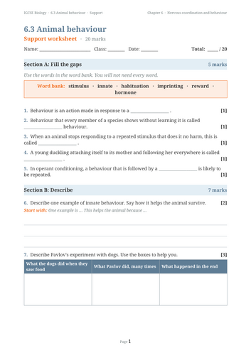 docx, 20.7 KB