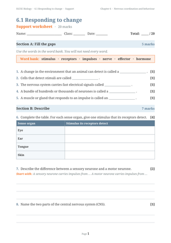 docx, 20.39 KB