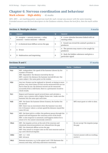 docx, 15.44 KB