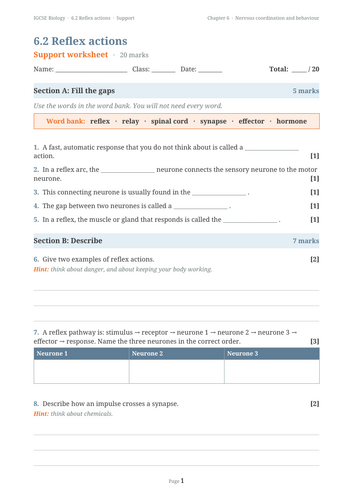 docx, 166.68 KB