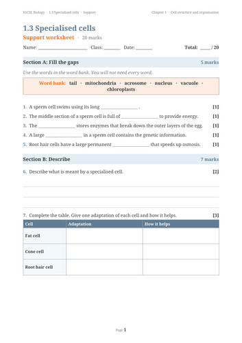 docx, 19.84 KB