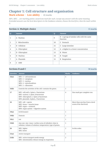 docx, 13.76 KB