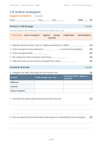docx, 19.93 KB