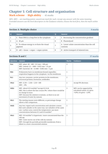 docx, 14.56 KB