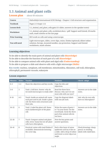 docx, 16.02 KB