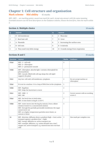 docx, 14.07 KB